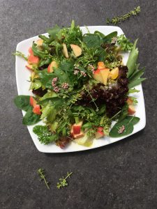 Wildkräuter-Salat – Rezept